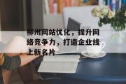柳州网站优化，提升网络竞争力，打造企业线上新名片