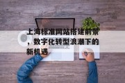 上海标准网站搭建前景，数字化转型浪潮下的新机遇