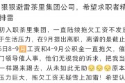知名袋泡茶品牌被员工在线讨薪！历经九轮融资的“CHALI茶里”为何沦落至此
