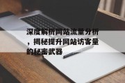 深度解析网站流量分析,揭秘提升网站访客量的秘密武器 深度解析网站流量分析,揭秘提升网站访客量的秘密武器