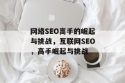 网络SEO高手的崛起与挑战，互联网SEO，高手崛起与挑战