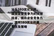 汕头SEO优化公司，提高企业竞争力的关键因素，提升企业竞争力，潮州SEO优化的重要性及策略