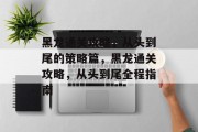 黑龙通关攻略，从头到尾的策略篇，黑龙通关攻略，从头到尾全程指南