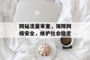 网站流量审查，保障网络安全，维护社会稳定