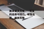 雨水通关攻略——明智的选择与技巧，明智选择，通关攻略