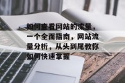 如何查看网站的流量，一个全面指南，网站流量分析，从头到尾教你如何快速掌握