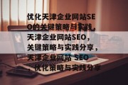 优化天津企业网站SEO的关键策略与实践，天津企业网站SEO，关键策略与实践分享，天津企业网站 SEO，优化策略与实践分享