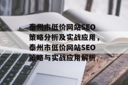 泰州市低价网站SEO策略分析及实战应用，泰州市低价网站SEO策略与实战应用解析