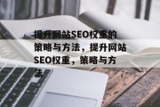 提升网站SEO权重的策略与方法，提升网站SEO权重，策略与方法