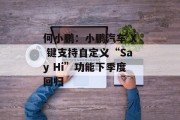何小鹏：小鹏汽车 X 键支持自定义“Say Hi”功能下季度回归