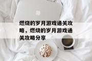 燃烧的岁月游戏通关攻略，燃烧的岁月游戏通关攻略分享