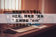 新股前瞻|年营收486亿元，锂电池“龙头”亿纬锂能“A+H”上市意欲何为?