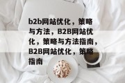 b2b网站优化，策略与方法，B2B网站优化，策略与方法指南，B2B网站优化，策略指南