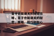 盲子也能通关的秘密攻略，盲子也能通关的秘密，策略、技巧和耐心