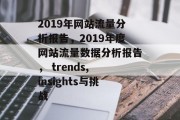 2019年网站流量分析报告，2019年度网站流量数据分析报告， trends, insights与挑战