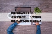 揭秘网站每日1000流量的秘密，五大策略助你轻松突破流量瓶颈