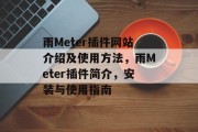 雨Meter插件网站介绍及使用方法，雨Meter插件简介，安装与使用指南