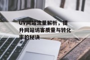 UV网站流量解析,提升网站访客质量与转化率的秘诀 UV网站流量解析,提升网站访客质量与转化率的秘诀