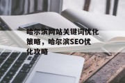 哈尔滨网站关键词优化策略，哈尔滨SEO优化攻略