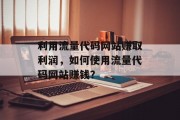 利用流量代码网站赚取利润，如何使用流量代码网站赚钱？
