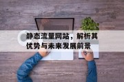 静态流量网站，解析其优势与未来发展前景