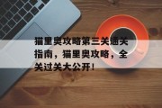 猫里奥攻略第三关通关指南,猫里奥攻略,全关过关大公开!