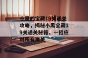 小黑的宝藏19关通关攻略，揭秘小黑宝藏19关通关秘籍，一招应对所有难关