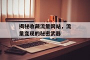 揭秘收藏流量网站，流量变现的秘密武器