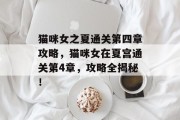 猫咪女之夏通关第四章攻略,猫咪女在夏宫通关第4章,攻略全揭秘!