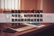 聚流量网站的推广策略与优化，如何利用聚流量网站提高网站流量和转化率?