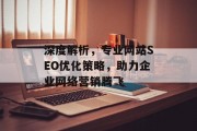 深度解析，专业网站SEO优化策略，助力企业网络营销腾飞