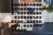 举报网站插件的便捷性及其可能带来的安全隐患，快速举报网站插件，安全使用秘籍与安全隐患解析，高效举报网站插件，安全技巧与安全隐患分析