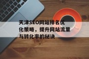 天津SEO网站排名优化策略，提升网站流量与转化率的秘诀
