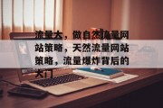 流量大,做自然流量网站策略,天然流量网站策略,流量爆炸背后的大门 流量大,做自然流量网站策略,天然流量网站策略,流量爆炸背后的大门