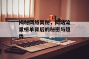 揭秘网络奥秘，网站流量榜单背后的秘密与趋势