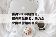 番禺SEO网站优化，提升网站排名，助力企业网络营销新高度
