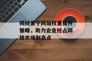 揭秘普宁网站权重提升策略，助力企业抢占网络市场制高点