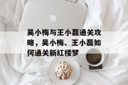 吴小梅与王小磊通关攻略,吴小梅、王小磊如何通关新红楼梦