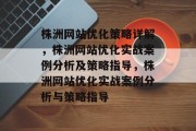 株洲网站优化策略详解，株洲网站优化实战案例分析及策略指导，株洲网站优化实战案例分析与策略指导