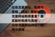 垃圾流量网站，陷阱与真相，揭秘！哪些垃圾流量网站陷阱重重？真实解析陷阱与真相!，垃圾流量网站揭秘，陷阱与真相