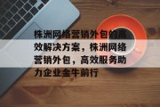 株洲网络营销外包的高效解决方案，株洲网络营销外包，高效服务助力企业金牛前行
