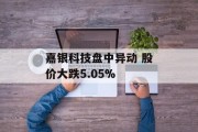 嘉银科技盘中异动 股价大跌5.05%