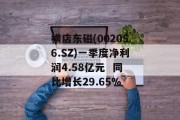 横店东磁(002056.SZ)一季度净利润4.58亿元  同比增长29.65%