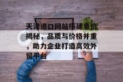 天津进口网站搭建单价揭秘，品质与价格并重，助力企业打造高效外贸平台