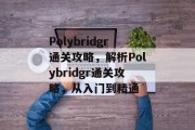 Polybridgr通关攻略,解析Polybridgr通关攻略,从入门到精通