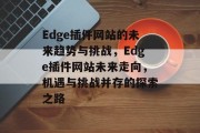 Edge插件网站的未来趋势与挑战，Edge插件网站未来走向，机遇与挑战并存的探索之路