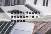 欧洲债市：德国国债在债券发售前夕下跌 中期品种领跌