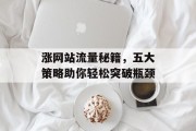 涨网站流量秘籍，五大策略助你轻松突破瓶颈