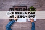 网站早期流量的重要性及提升策略，网站早期流量，重要性与提升策略分析