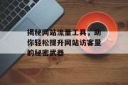 揭秘网站流量工具，助你轻松提升网站访客量的秘密武器